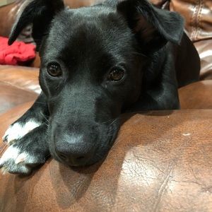 Meet your Posher, Kara